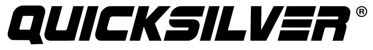 Luftfilter Einlassluftsteuerung IAC Bild 1
